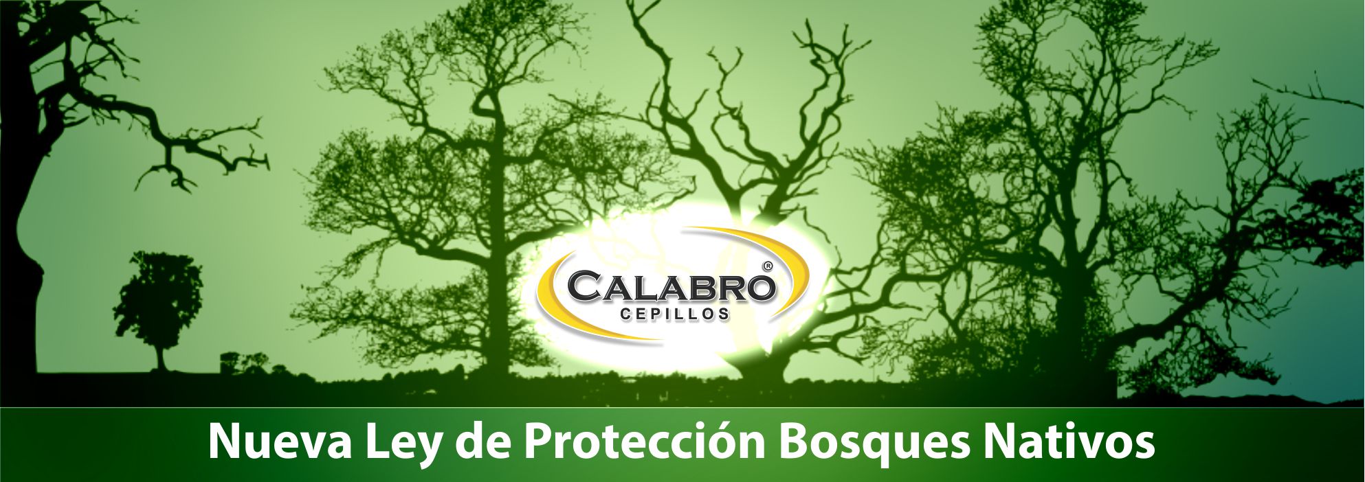 Cepillos Calabró - Compromiso